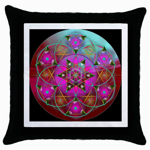 Wisdom Throw Pillow Case (Black) from ArtsNow.com Front