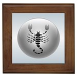 Scorpio Framed Tile