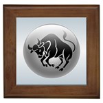 Taurus Framed Tile