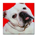 Bulldog Momma Charm Tile Coaster