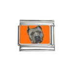 I Love my american pitbull terrier Italian Charm (9mm)