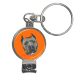 I Love my american pitbull terrier Nail Clippers Key Chain