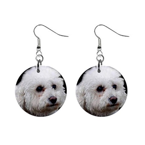 Bichon Frise 1  Button Earrings from ArtsNow.com Front