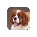 cavalier king charles spanial Rubber Square Coaster (4 pack)