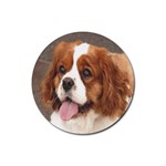 cavalier king charles spanial Rubber Round Coaster (4 pack)