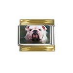 English Bulldog Gold Trim Italian Charm (9mm)