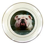 English Bulldog Porcelain Plate