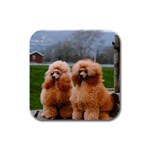 French Poodles Rubber Square Coaster (4 pack)