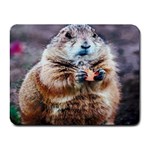 fat prairie dogs Small Mousepad