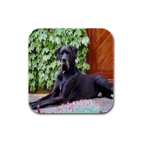 Great Dane Rubber Square Coaster (4 pack) from ArtsNow.com Front