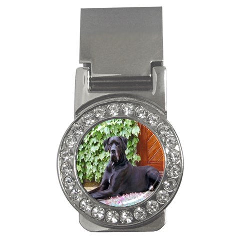 Great Dane Money Clip (CZ) from ArtsNow.com Front