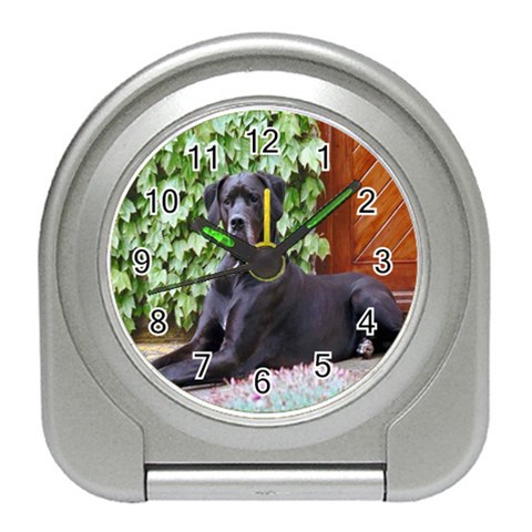 Great Dane Travel Alarm Clock from ArtsNow.com Front