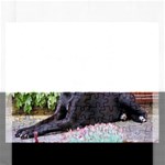 Great Dane Jigsaw Puzzle (Rectangular)