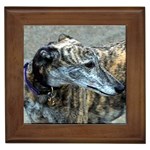 Greyhound Framed Tile