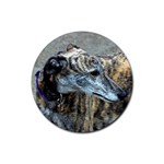 Greyhound Rubber Round Coaster (4 pack)