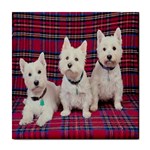 Highland Terriers Tile Coaster