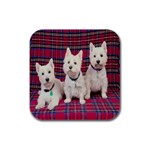 Highland Terriers Rubber Square Coaster (4 pack)