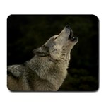 wolf_pictures_3 Large Mousepad