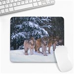 wolf_pictures_2 Large Mousepad