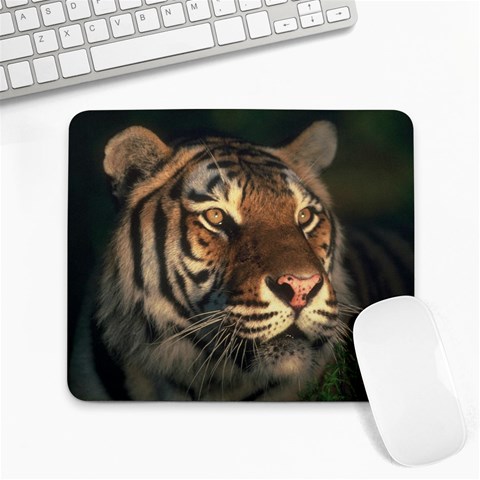 tiger_pictures_3 Large Mousepad from ArtsNow.com Front