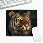 tiger_pictures_3 Large Mousepad