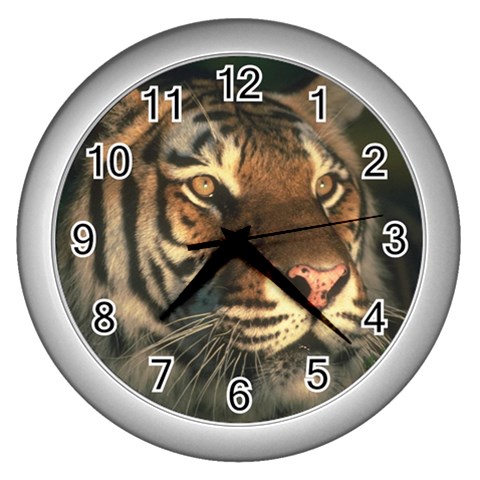 tiger_pictures_3 Wall Clock (Silver) from ArtsNow.com Front