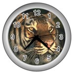 tiger_pictures_3 Wall Clock (Silver)