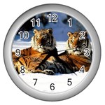 tiger_pictures_2 Wall Clock (Silver)