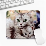 Cat_pictures2 Large Mousepad