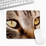 Cat_pictures3 Large Mousepad