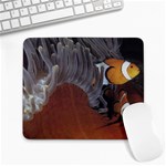 clown-fish Large Mousepad