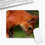 squirrel-02 Large Mousepad