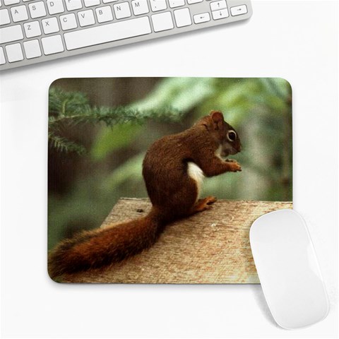 squirrel Large Mousepad from ArtsNow.com Front