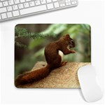 squirrel Large Mousepad