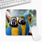 parrots-03 Large Mousepad