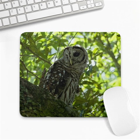 Owl Large Mousepad from ArtsNow.com Front