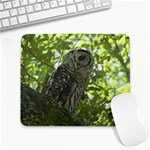 Owl Large Mousepad