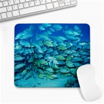 oceans_fish_2 Large Mousepad