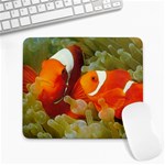 ocean-paradise Large Mousepad