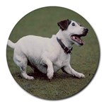 jack russel terrier Round Mousepad