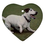 jack russel terrier Ornament (Heart)