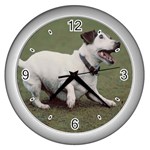 jack russel terrier Wall Clock (Silver)