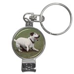 jack russel terrier Nail Clippers Key Chain