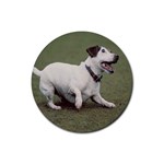 jack russel terrier Rubber Coaster (Round)