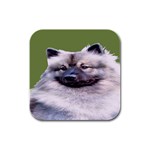 Keeshond  Rubber Square Coaster (4 pack)