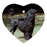 portugese water dog Ornament (Heart)