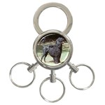 portugese water dog 3-Ring Key Chain