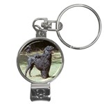portugese water dog Nail Clippers Key Chain