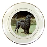 portugese water dog Porcelain Plate