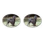 portugese water dog Cufflinks (Oval)